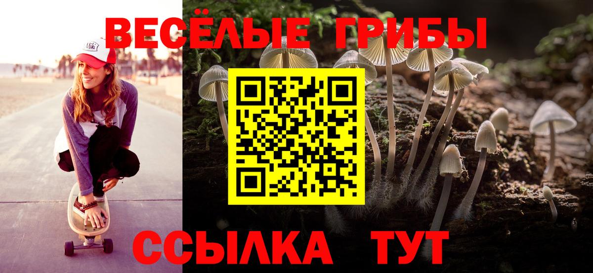 Грозный  Галлюциногенные грибы MAGIC MUSHROOMS  Вход с VPN  Галлюциногенные грибы GOLDEN TEACHER 