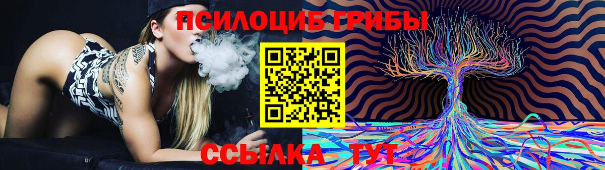 Псилоцибиновые грибы Грозный